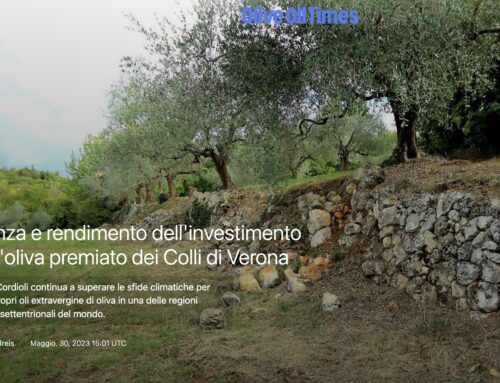 Olive Oil Times – May 30, 2023